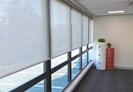 Venus Blinds