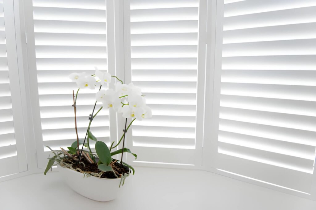 Windows_white_blinds